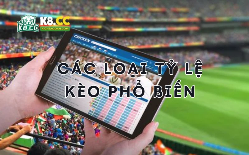 Các loại tỷ lệ kèo bóng đá phổ biến